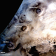 Illustration for article titled Here Are All the Best Photos from Indias Mars Mission